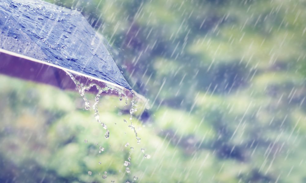 Blog - April Showers